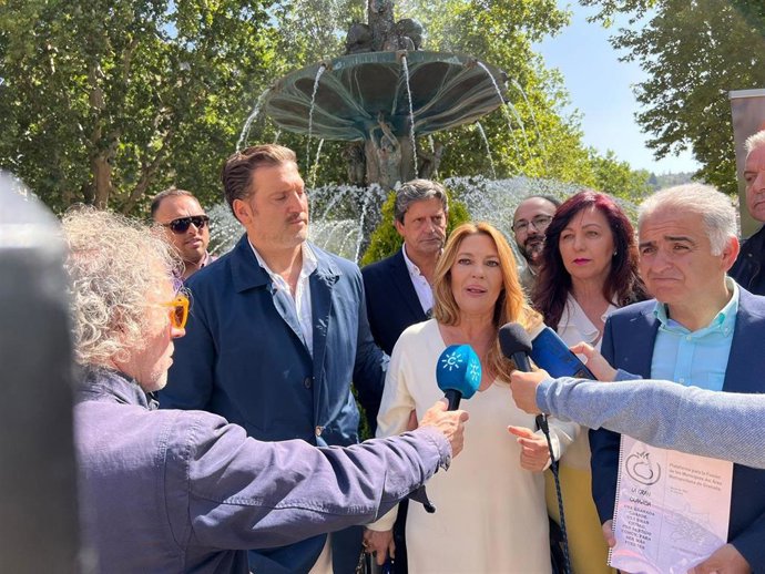 Rueda de prensa conjunta de CS y la plataforma Gran Granada