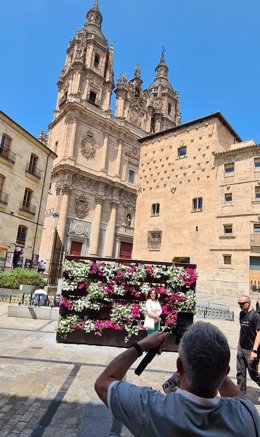 El muro verde de Salamanca.