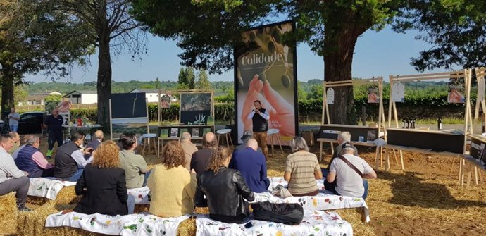 La Xunta creará un campo de ensayo con distintos tipos de olivos.