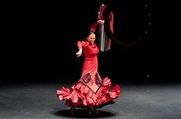 Flamenco Madrid