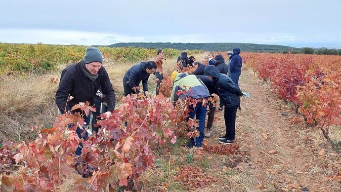 Abierta la inscripción para el programa internacional 'Formador Oficial en Vinos de Rioja 2023'