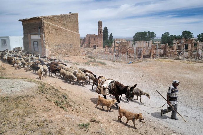 El pastor Luis Villar con sus ovejas en el campo de Belchite, a 9 de mayo de 2023, en Zaragoza, Aragón (España). La Unión de Pequeños Agricultores (UPA) en Aragón y la Unión de Agricultores y Ganaderos de Aragón (UAGA) han hecho un llamamiento a las aut