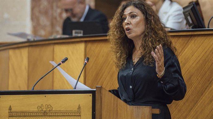 Archivo - Sevilla.- Vox pregunta en el Parlamento si la Junta prevé medidas contra la "masificación" sanitaria en Sevilla