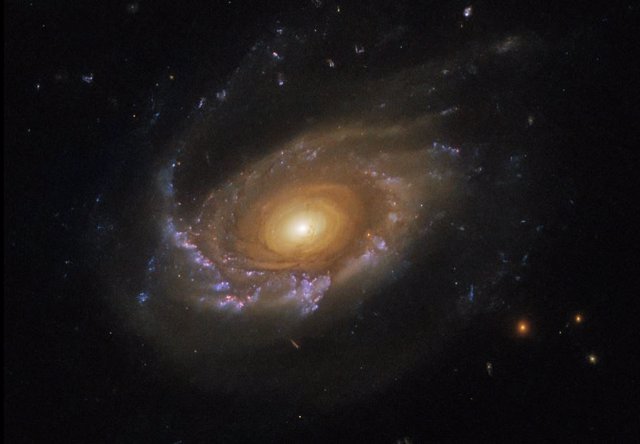 Galaxia medusa JW39