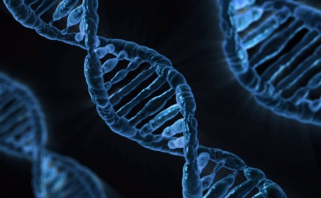 Archivo - Estructura del ADN