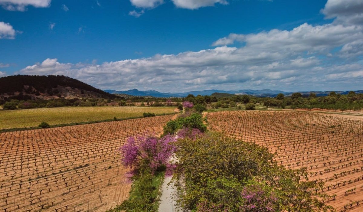 La Región de Murcia promociona las vías verdes como atractivo turístico para visitantes alemanes