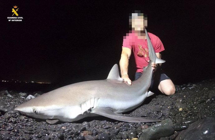 Una persona con un tiburón capturado en Lanzarote