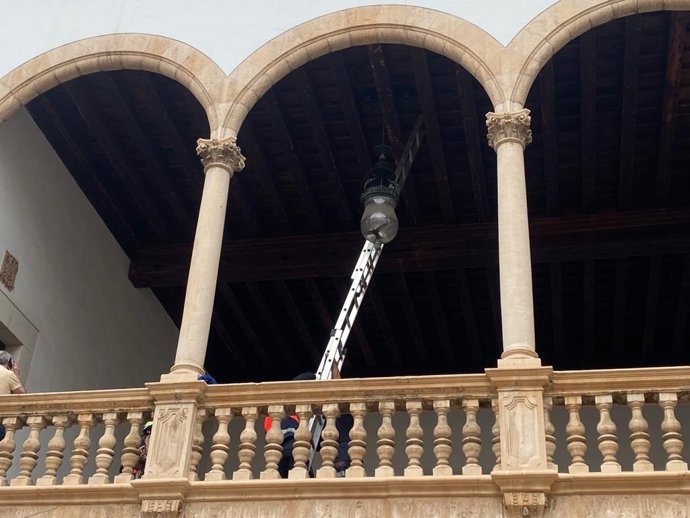 El pájaro, encerrado en la lámpara.