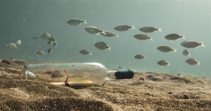 Tenerife Espacio De Las Artes (TEA) Proyecta Este Miércoles A Las 19.00 Horas 'Más Allá De La Corriente', Un Documental Del Cineasta Ayoze O'shanahan Basado En Un Proyecto Del Artista Canario Pedro Déniz