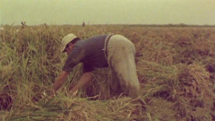 La Filmoteca de Valncia proyecta tres producciones más en el ciclo 'Cinema en valenci 1933-2023', un extenso recorrido por noventa años de historia del cine en valenciano que se puede ver hasta el 25 de abril de 2024.