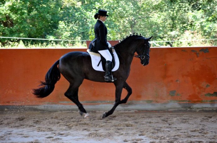 Archivo - Centro Ecuestre Santibañez