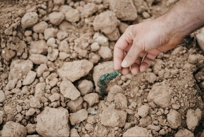 Viñedo ecológico de Bodegas Montecillo