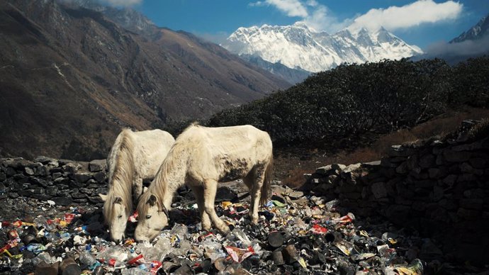 Mount Everest trash, photo by Martin Edstrm