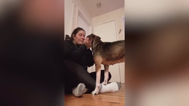 La emocionante reacción de este cachorro tras ser adoptado definitivamente por su madre de acogida