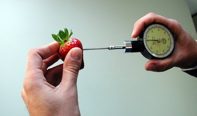 Proyectos de investigación