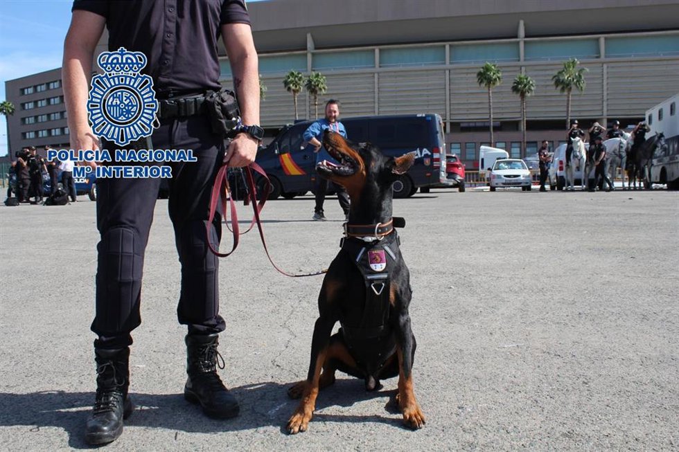 Imagen de recurso de un agente con su perro, en los aledaños del estadio de la Cartuja.