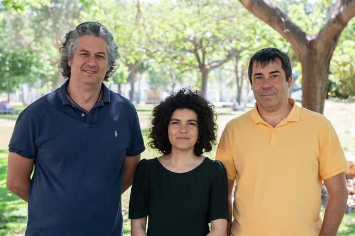 Investigadores de la UPV