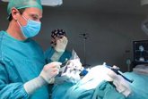 Foto: Resultados esperanzadores de la cirugía con láser en epilepsia refractaria