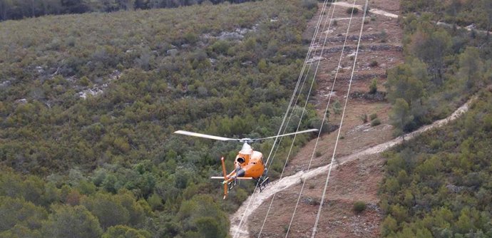 Endesa invertirá 58,3 millones en labores de prevención de incendios y mejoras de su red este verano
