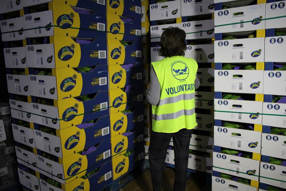Archivo - Una voluntaria de FESBAL.