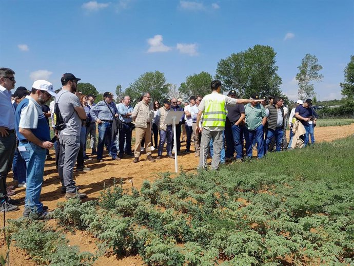 El consejero de Agricultura con los participantes en la jornada de cultivos herbáceos.