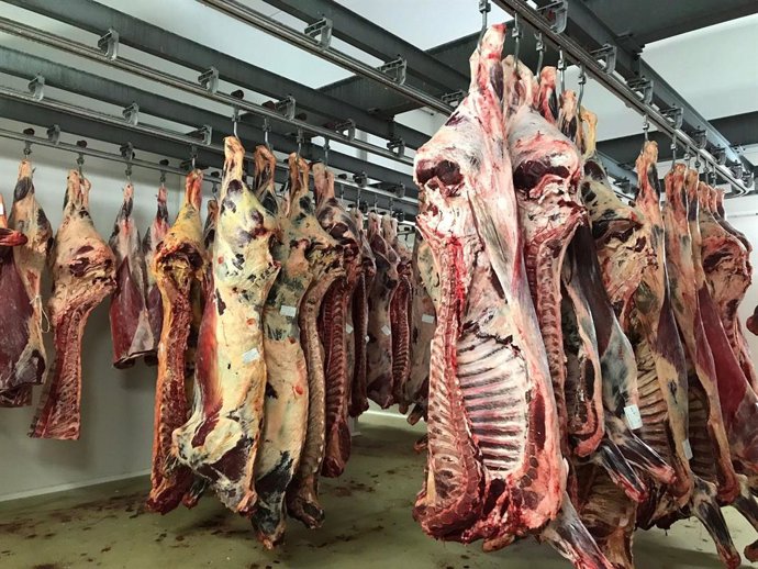 Archivo - Nota Bolsa De Empleo Oficial De Matarife Matadero Comarcal Torrelavega