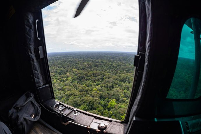 Archivo - March 3, 2021, Sao Paulo, Sao Paulo, Brazil: Aerial view of the Amazon rainforest in the upper Rio Negro, in the state of Amazonas, on the border between Brazil and Colombia, the northwest of the country.