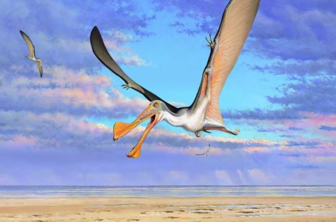 Reconstrucción de un pterosaurio australiano
