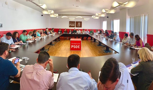 Reunión de la Ejecutiva provincial del PSOE.