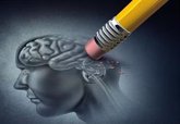 Foto: Los traumatismos cerebrales recurrentes pueden aumentar el riesgo de Alzheimer