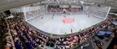 Foto: Sant Sadurní d'Anoia acogerá el Europeo de hockey patines 2023