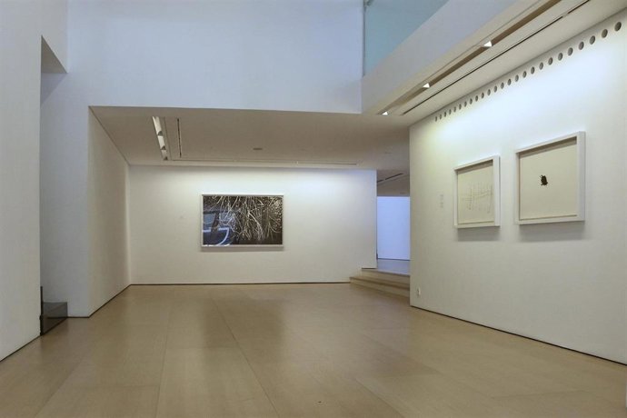 La Galería Horrach Moy en Palma cierra sus puertas tras 35 años