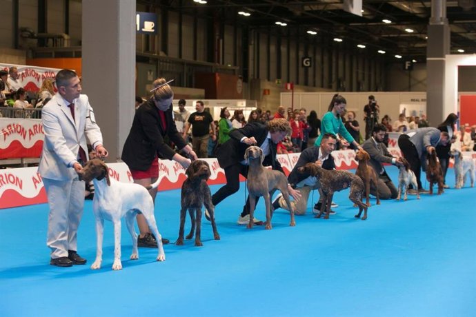 100X100mascota En Ifema Madrid