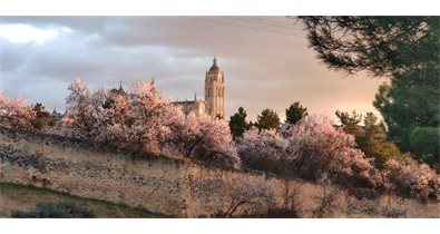 Castilla y León