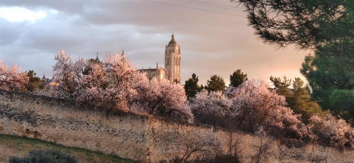 Dos alumnos del IES 'La Albuera' de Segovia ganan la IX edición del concurso de fotografía 'Tu Ciudad, tu Patrimonio'.