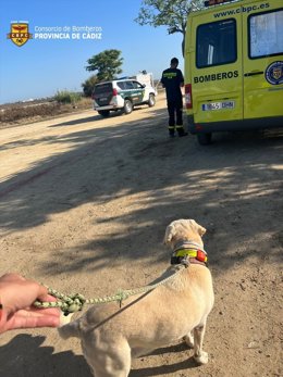 La unidad canina de Bomberos se une al dispositivo para hallar al vecino de 82 años desaparecido el sábado en Chiclana