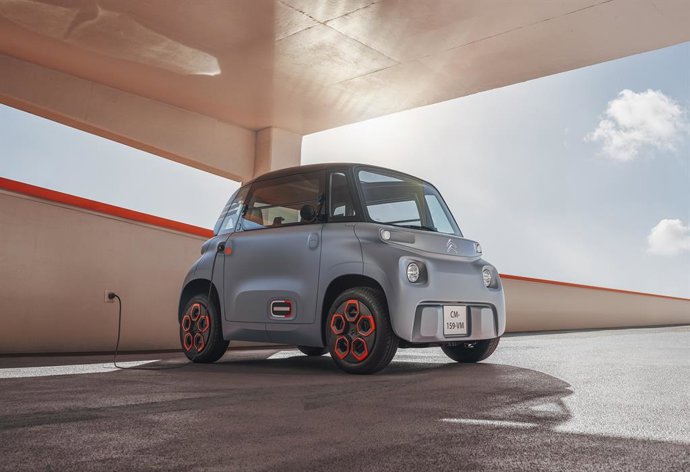 Archivo - Nuevo Citron AMI.