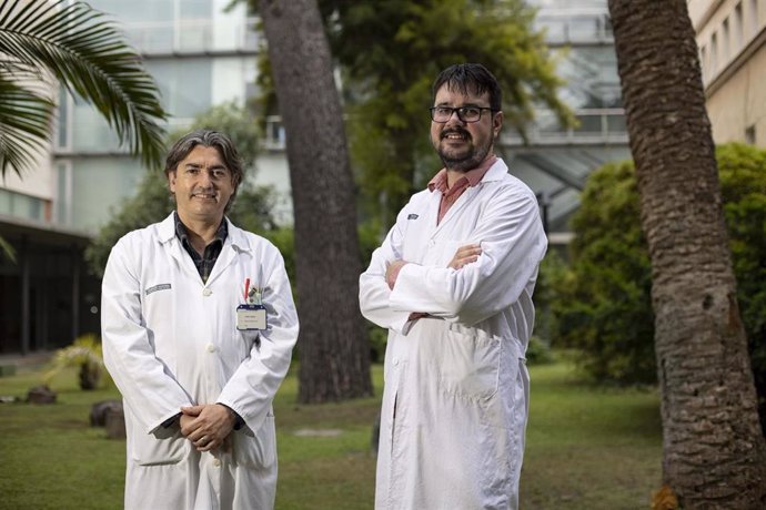 El profesor Gonzalo Haro, investigador principal del Grupo TXP de la Universidad CEU Cardenal Herrera en Castellón, y Francisco Rodríguez Ruiz, psiquiatra del Departamento de Salud Mental del Hospital Provincial de Castellón y doctorando