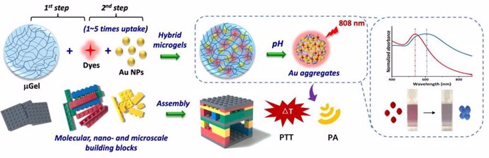 Archivo - Desarrollan microgeles con nanopartículas de oro que permiten diagnosticar y tratar tumores