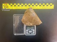 Detenido en la Puebla de Montalbán por recolectar ilegalmente resina de amapola blanca