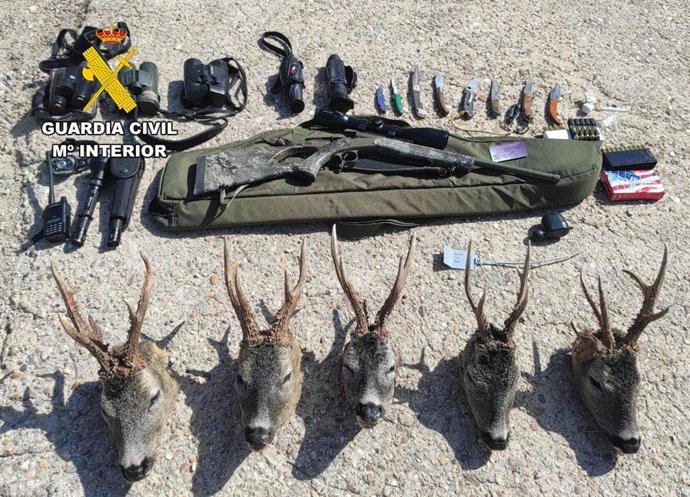 Cabezas de corzo y armento incautados a una persona en la provincia de Burgos.
