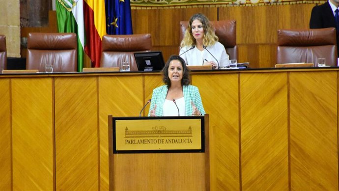 La consejera de Salud y Consumo, Catalina García