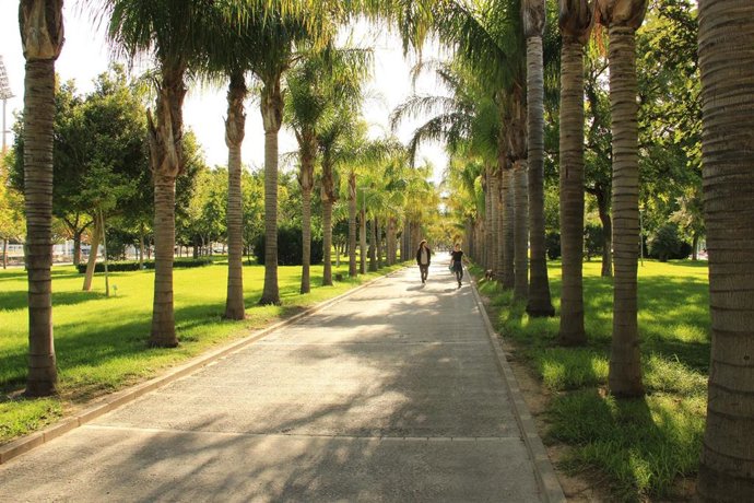 Campus de la Universitat Politcnica de Valncia (UPV)