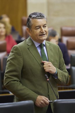 Archivo - El consejero de Presidencia, Interior, Diálogo Social y Simplificación Administrativa de la Junta de Andalucía, Antonio Sanz, en el Parlamento de Andalucía (fotografía de archivo)