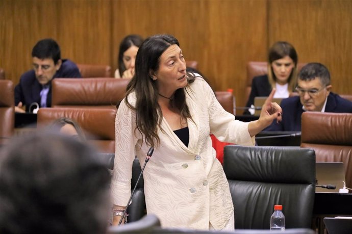 De Inclusión Social, Juventud, Familias e Igualdad, Loles López, en el Parlamento este jueves.