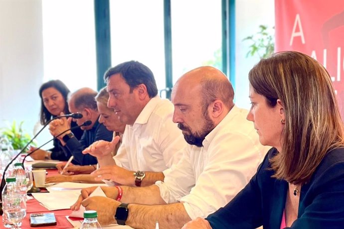 Reunión de la comisión ejectuvia gallega del PSdeG, liderada por Valentín González Formoso, este jueves en Santiago.