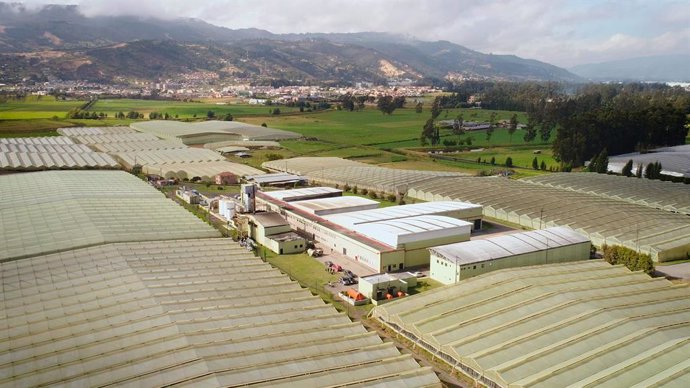 Cultivos vista aérea Verdissimo.