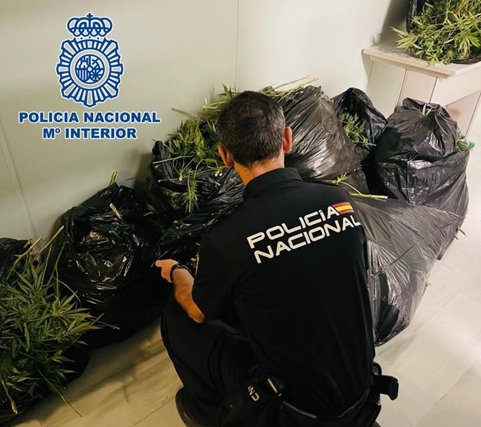 Policía Nacional junto a la marihuana intervenida.