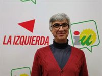 IU destaca que Con Andalucía es "determinante para el nuevo gobierno" de la Diputación de Sevilla