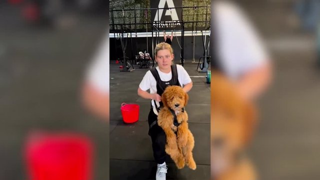 Kayla Skinner, amante del fitness, ha estado utilizando a su perro como chaleco de pesas para alcanzar sus objetivos en el gimnasio